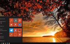 Autumn Tree win10 theme