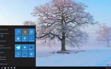 White Winter Tree win10 theme