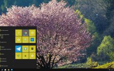 Sakura win10 theme