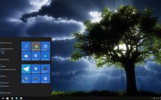 Dark Trees win10 theme