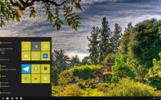 Japanese Garden win10 theme