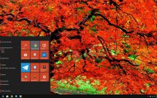 Autumn in Japan win10 theme