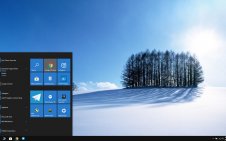 Japanese Winter win10 theme