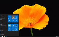 Black Flowers win10 theme