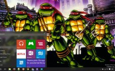 Teenage Mutant Ninja Turtles win10 theme