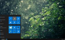 Rain in Forest win10 theme