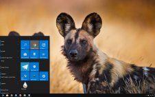 Africa  win10 theme