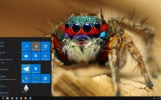 Spider win10 theme