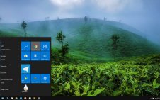 Tea Plantation  win10 theme