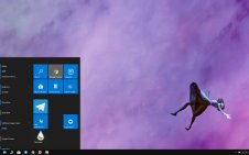 Alice: Madness Returns win10 theme