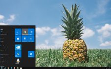 Pineapple win10 theme