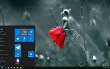 Poppy win10 theme