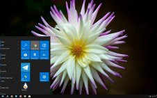 Dahlia win10 theme