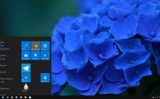 Hydrangea win10 theme