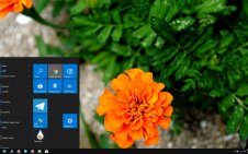 Marigold win10 theme