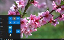 Blossom win10 theme