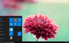 Chrysanthemum win10 theme