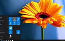 Gerbera win10 theme