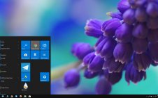 Hyacinth win10 theme