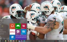 Miami Dolphins win10 theme
