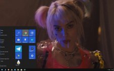 Birds of Prey win10 theme