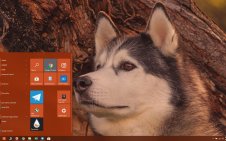 Alaskan Malamute win10 theme