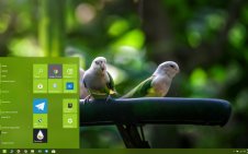 Budgerigar win10 theme