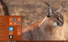 Caracal win10 theme