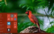 Cardinal win10 theme