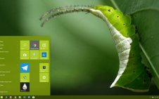 Caterpillar win10 theme