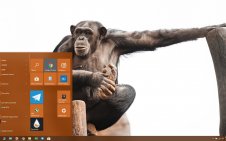 Chimpanzee win10 theme