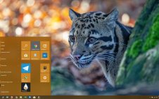 Clouded Leopard win10 theme