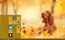 Cocker Spaniel win10 theme