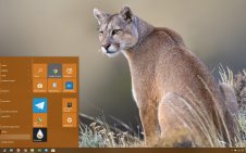 Cougar win10 theme