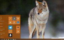 Coyote win10 theme