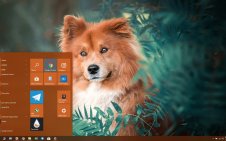Eurasier win10 theme