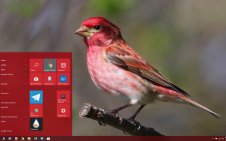 Finch win10 theme