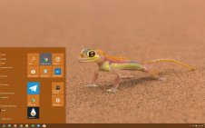 Gecko win10 theme