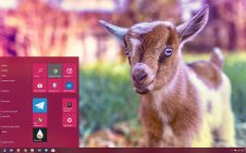 Goat  win10 theme