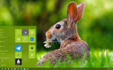 Hare win10 theme
