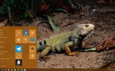  Iguana win10 theme