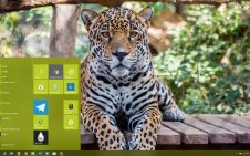 Jaguar win10 theme
