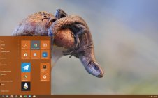 Lizard win10 theme