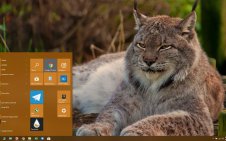 Lynx win10 theme