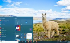 Alpaca win10 theme