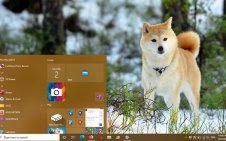 Akita win10 theme