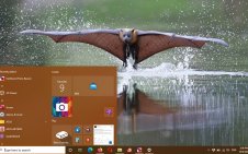 Bat win10 theme