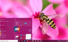 Bee win10 theme