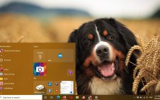 Bernese Mountain win10 theme