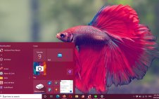 Betta Fish win10 theme